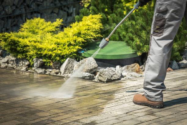 Reliable Lorenz Park, NY Pressure Washing Services Solutions